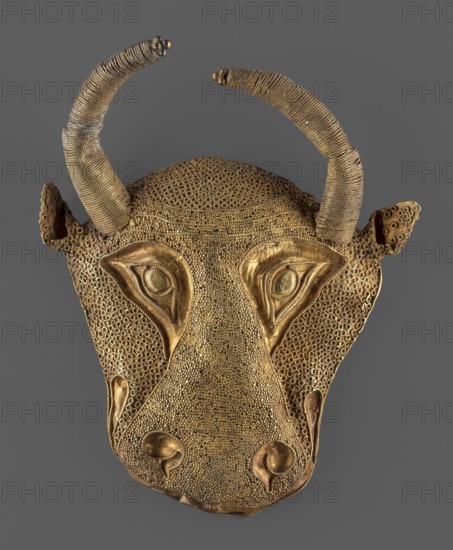 Protoma bull head relief mask, A bull's head in the form of a relief mask made using the repoussé technique. Individual parts of the head are distinguished by different goldsmithing techniques: the central part with the nostrils features granulation and filigree, while the cheeks and top of the head feature filigree only. The eyes, nostrils, and muzzle are repoussé and bordered with filigree. The small ears and horns are plastically modeled horns soldered on. The reverse is closed with an undecorated gold sheet with an irregular hole in two-thirds of its height, from removal of an element used to fasten the protoma. ca. 1450–ca. 1100 BC; Middle Elamite period, alternate dating proposed to the Achaemenid period, 600–539 BC; other scholarship argues for the second half of the 2nd millennium BC. Origin: Elam/Iran. Material/technique: goldsmithing, repoussé, granulation, filigree. Dimensions: height 9.5 cm; width 7.8 cm; depth 2.5 cm; weight 48 g., A gold-colored decorative mask in the sha...