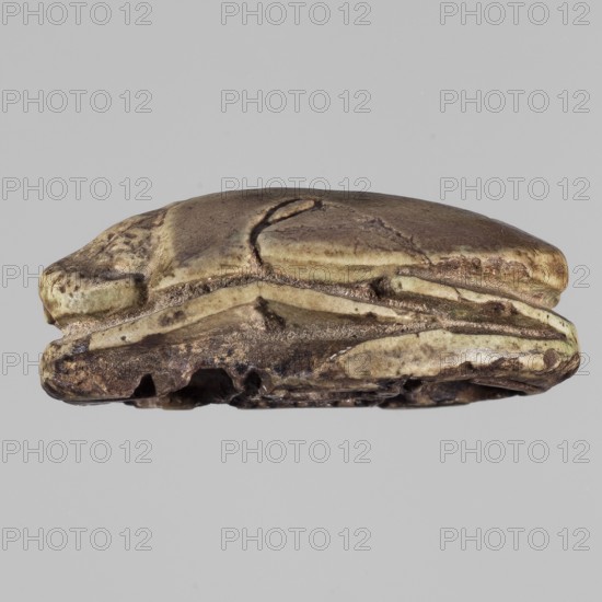 Scarab with the name Menkheperre. Protective amulet scarab with a decorated top engraved with a cartouche topped by two feathers containing the name Menkheperre i.e. Amun-Re. On the bottom of the scarab is another cartouche with the same name and two snakes turned inward. New Kingdom, c. 1550–c. 1069 BC; Western Thebes Valley of the Queens. Scarab amulet; height 3.8 cm, width 2.7 cm., A small, irregularly shaped object with a rounded, flattened form shown against a plain light gray background; the object has a weathered, layered surface with a mix of colors including brown, tan, beige, greenish-yellow, and dark brown spots, and displays grooves, cracks, and pitted areas along its edges and underside, with smoother, slightly shiny sections on the top and rougher, more textured areas along the bottom.