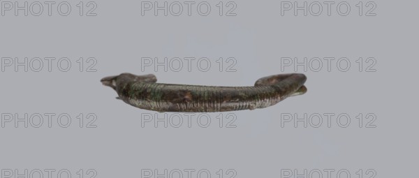 Arched fibula, one-piece fibula with an arched bow made of a round bronze bar, decorated with groups of circumferential notches. A 1.5-turn loop at the transition from the bow to the pin. Sheath damaged. Date: 9th–8th century BC. Findplace: Cumae, Southern Italy. Type: fibula ad arco semplice. Dimensions: height 3.2 cm, width 4.2 cm., A curved, tubular object with a textured, ribbed surface floats against a plain light gray background; the object appears metallic with a mix of dark brown, green, and hints of reddish tones, and has irregularities and worn areas along its length, with both ends slightly thicker and one end showing a small flattened or hooked shape.