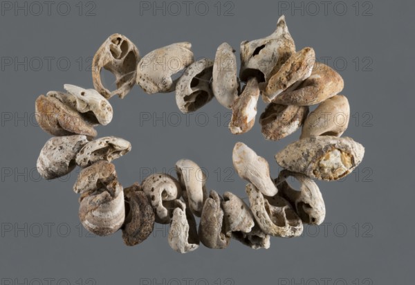 Shell necklace or bracelet, unknown northern Mesopotamian workshop, jewellery, Early Jazira III period ca. 2600–ca. 2350 BC. Necklace or bracelet composed of 6 whole and 21 ground halves of Engina mendicaria shells. In whole shells, the threading hole was made by grinding away the surface of the lower whorl opposite the hole. Now dull and heavily discolored, these shells originally had a shiny surface with a few diagonal brown stripes on a white or yellowish background. Early Dynastic III period; Al-Jazira northern Mesopotamia, Khabur Basin, Tell Rad Shakra northeastern Syria. Decoration; height 12 cm, width 1.6 cm., A circular arrangement of small rough shells and shell fragments suspended against a flat gray background, showing a variety of irregular, rounded and hollow shapes with worn edges and pitted surfaces; the shells display shades of off-white, beige, tan, brown, and touches of rust and gray, with some darker speckling and lighter chalky areas, and varying textures from smoot...