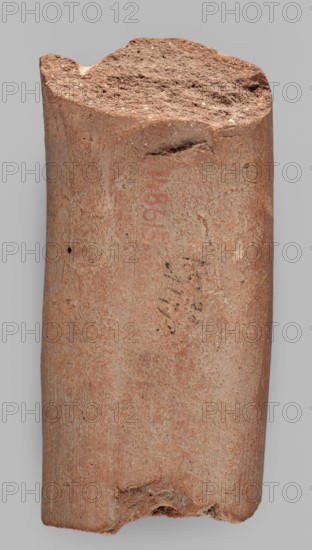 Fragment of a transport amphora vice with a stamp depicting an oinochoe and an incomplete Greek inscription. Fragment of an amphora vice with a rectangular stamp containing an inscription in two rows and between them a depiction of an oinochoe in a horizontal position. End of the 4th–beginning of the 3rd century BC. Findspot: Myrmekion. Origin: Thasos. Stamp. Vice. Height 5.1 cm, width 10.8 cm., A cylindrical fragment of reddish-brown clay with a rough, uneven top surface and a more worn bottom edge, showing a granular texture and small pits; the curved sides display subtle vertical striations and areas of darker brown and lighter tan, with a few small darker spots and smudges; the background is a plain light gray.