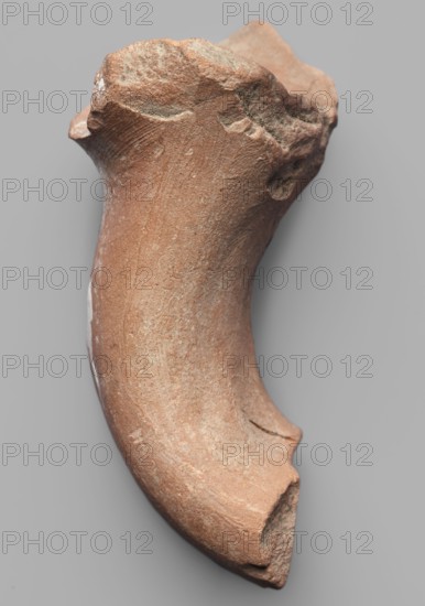 Fragment of an amphora vice behind a stamp, gift, ca. 390 BC, Pantikapaion place of finding, Thasos place of origin, stamp, vice, height 6.2 cm, width 8 cm, A curved fragment of a hard material with a rough, grainy surface in shades of reddish-brown and tan set against a flat light gray background, showing uneven broken edges and chipped areas with lighter gray and pale beige highlights, subtle striations and pitted texture along the curved body, and a few small patches of whitish residue.