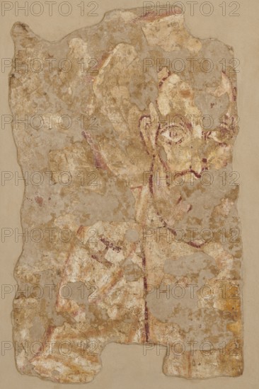 Wall painting: Saint John the Apostle, Nubian workshop; wall painting, John the Evangelist Saint; ?–ca. 100 - iconography. Depicted frontally, a preserved fragment showing the head and left shoulder of the figure. The head is surrounded by a circular yellow halo outlined by a purple and white stripe. The contours of the face and features are painted with black paint. High forehead, regular eyebrow arches, large almond-shaped eyes, wide open, with marked irises and pupils; a straight nose ending in a wedge; large protruding right ear left ear missing. Long white beard ending in a pointed tip. On the white robe, the Greek letter eta H is visible on the figure's right shoulder. The folds of the robe are marked with wide yellow and purple lines. Original plaster: 82 x 36 cm; 8th century, Faras. Dimensions: 105 x 78.5 -79 x 4.5 cm; wall painting height 105 cm, width 78.5–79 cm, depth 4.5 cm; original plaster height 82 cm, width 62 cm., A weathered fragment of painted plaster with an irregul...