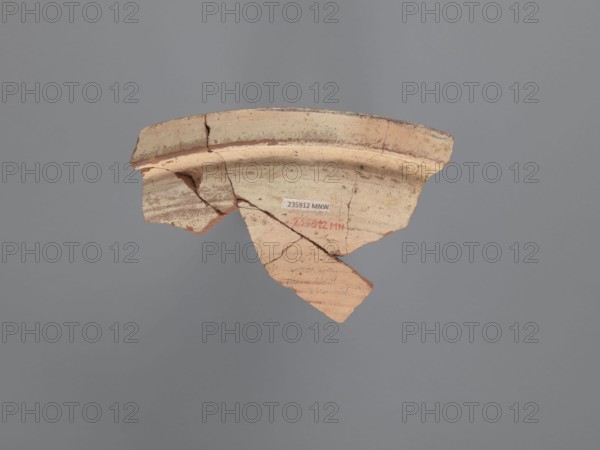 Plate fragment, unknown northern Egyptian workshop; plate/tableware, painted Coptic pottery, Nile clay; 6th–7th century. Plate fragment with a horizontally formed rim. Red-orange ceramic body with visible inclusions of gold mica and white-yellow limestone particles. Covered with a white engobe, fired beige with pink in places. On the outside, below the rim, a concentric cord impression from the production process. Painted black decoration with red elements, placed inside the vessel, consisting of: - a surrounding band bounded by parallel lines the upper one extends beyond the edge, filled with a wavy line and two rows of dots above and below it; - depiction of a horse or donkey head and part of neck preserved with a short mane, long ears, and short brushstrokes on the body bounded by three parallel lines at the neck transition; - a long leaf with a sharp tip directed toward the animal’s head, located above its back and framed by a red line; - fragment of a floral decoration fruit on a ...