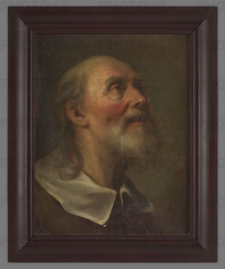 Head of Saint Peter, 17th century?, Poland; portrait painting of Saint Peter; height 42.0 cm, width 33.0 cm., A framed oil painting of an elderly man shown in profile looking upward, with a pale face and rosy cheeks, a high forehead with thinning gray hair, a long gray beard and mustache, and deep-set eyes. He wears a dark garment with a light-colored collar. The background is dark and muted with brown and greenish tones. The frame is a dark reddish-brown wood with visible grain and beveled inner edges.