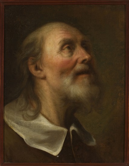 Head of Saint Peter, unknown artist, 17th century?, Poland. Portrait painting, oil on panel, — height 42.0 cm, width 33.0 cm., A painted portrait of an older man shown from the shoulders up, turned in profile and looking upward, with pale skin tones, rosy cheeks, and a white beard and mustache; his hair is gray and thinning, with darker gray strands near the temples. He wears a white collar over a dark brown garment. The background is a textured dark olive and brown, and the image is enclosed in a narrow dark reddish-brown wooden frame. Several subtle highlights and shadowed areas appear on the face, collar, and hair.