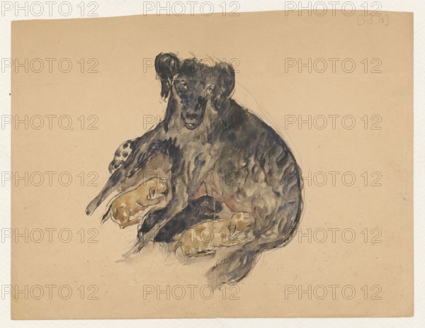 Drawing Notre petite Maline attached to a letter to Maria Mickiewiczówna; Tadeusz Makowski 1882–1932 illustrator/author; Boleslaw Balzukiewicz 1879–1935; Espaly-Saint-Marcel France; Mickiewicz family; Maria Mickiewicz 1868–1952 — addressee; subject: animals, dogs; filigree; loose card; dated 5 October 1918; medium: drawing; dimensions: height 16.4 cm, width 22.0 cm, A sketch of a seated animal with a dark coat rendered in shades of black, gray, and blue, surrounded by a few small resting young depicted in warm brown and tan tones; the figures sit on a plain light beige background with subtle paper texture and faint pencil lines.