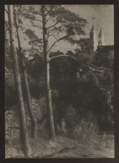 Vilnius environment. Kalwaria, Bulhak, Jan 1876–1950 photographer, Kalwaria Wilenska Vilnius; Werki, ca. 1934 date, Vilnius place of origin, photograph, nature photograph, height 16.3 cm, width 11.6 cm, A grayscale photograph showing a group of tall trees with textured trunks in the foreground, their branches extending outward and upward, and a slope with low vegetation and shrubs at their base. In the midground there are darker, denser trees and foliage forming a wooded area. In the background a light-colored structure with two tall spires rises above the treeline. The overall tones are muted black, white, and various shades of gray.