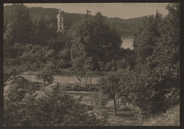 Vilnius environs. Trynopol Werki. Bulhak, Jan 1876-1950 photographer. Vilnius Lithuania. Trynopol Lithuania, Werki Lithuania. Churches. ca. 1920. Photography, nature photography. Height 11.5 cm, width 16.4 cm., A sepia-toned landscape showing a group of trees and shrubs in the foreground and middle ground, with several taller trees clustered toward the center and right. A few smaller, leafed trees stand in an open grassy area. In the distant background there is a taller vertical structure partially obscured by trees and a body of water beyond the tree line. The scene includes shades of brown, dark brown, and muted beige.