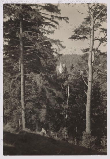 Trynopol Forest and Kalwaria, Bulhak, Jan 1876–1950 photographer, Kalwaria Wilenska Vilnius; Werki, architecture, trees, forests, churches architect, ca. 1934, Vilnius, photography, nature photography; height 16.5 cm, width 11.3 cm, The image shows a forested scene with a few tall trees in the foreground and denser trees filling the midground, all rendered in tones of sepia, brown, and beige; behind the trees a light-colored building with distinctive vertical shapes is partially visible, framed by a distant hillside covered in darker trees; the sky above appears pale beige, and the overall scene has muted brown and cream tones.