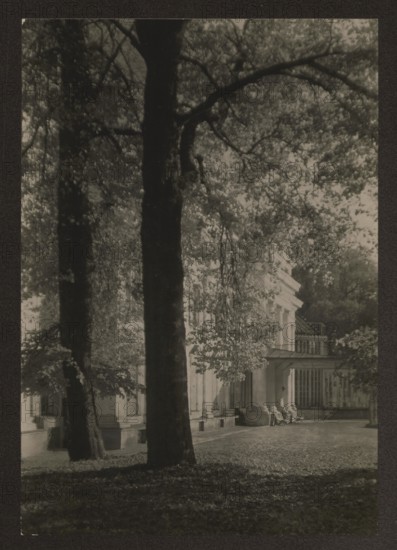 Werki — palace; Bulhak, Jan 1876–1950 photographer; Werki Lithuania; Tyszkiewicz family — residences; ca. 1934; Vilnius; nature photography; height 16.5 cm; width 11.3 cm, A photograph showing a large tree trunk and a few other tree trunks in the foreground with branches and leaves forming a canopy that filters light; behind the trees a classical building facade with columns, a portico, and windowed sections is partially visible, with light and shadow playing across its surfaces; the ground in front of the building appears covered with fallen leaves and dappled sunlight; visible colors include shades of black, gray, and off-white.