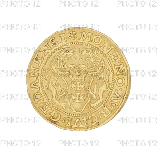 Gdansk ducat of Sigismund I the Old King of Poland; reign 1506–1548, struck in Gdansk, Poland — coin., A round gold-colored coin with a raised decorative rim and a central shield design flanked by two stylized heraldic lions facing each other, surrounded by a beaded inner circle and an outer ring of raised characters; the coin surface shows subtle variations in gold tones and slight wear along the edges.