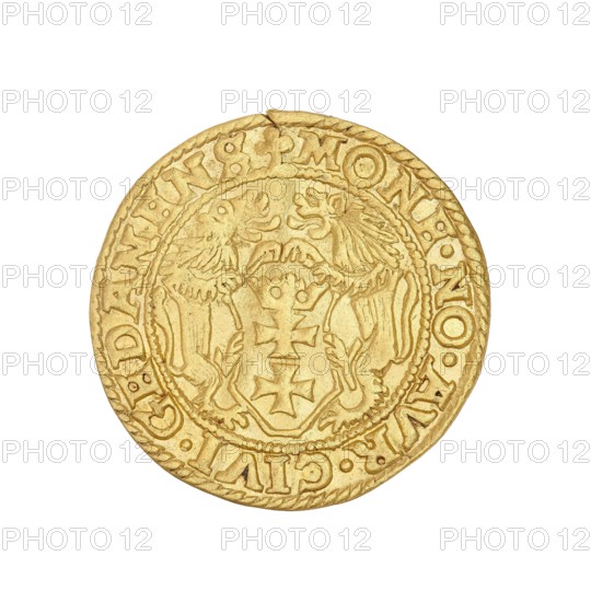 Gdansk ducat, Sigismund II Augustus King of Poland; 1544–1572, Poland, Gdansk mint, coin, A round coin with a worn, textured surface in shades of gold and yellow, showing a raised central shield flanked by two stylized animals facing each other and standing on hind legs, surrounded by a decorative circular border and an outer ring with embossed characters, the coin edge appearing slightly irregular with small nicks and a few darker blemishes.