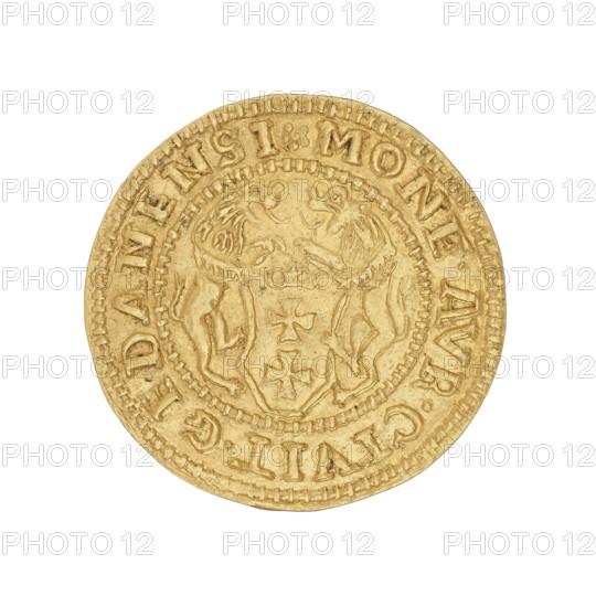 Gdansk ducat — forgery; Sigismund I the Old king of Poland; reign 1506–1548 creator / titles / ruler; Poland place of origin; coin., A circular gold-colored coin with a raised patterned rim and a central shield flanked by two stylized animals facing each other, all rendered in low-relief; the coin surface shows subtle variations in the gold tone with areas of slightly darker and lighter gold and a textured, worn finish.
