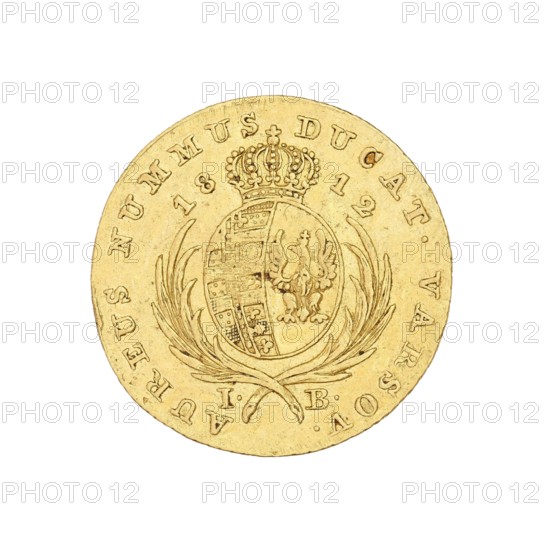 Warsaw ducat, Frederick Augustus King of Saxony, Duke of Warsaw; 1750–1827 — maker; Jakub Benik 1772–1827 — Intendant of the Mint; Duchy of Warsaw 1807–1815; Warsaw mint; coin., A circular gold-colored coin sits centered against a white background, showing a raised central shield topped by an ornate crown and flanked by curved laurel-like branches; the shield contains patterned panels and a stylized bird-like figure. The coin surface shows subtle wear with small scratches and slight variations in the gold tone, including areas that appear slightly darker or more matte. The rim features regularly spaced raised lettering and markings around the edge, and there are small decorative dots near the bottom of the coin. The overall visible colors are shades of gold and white.