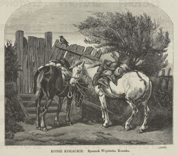 Cossack horses; painting/graphic illustration, 1873; Wojciech Kossak 1856–1942 — artist; Ernest Boulay fl. 1872–1875 — graphic artist; press illustration for the magazine Klosy; Polish painting; reproduction; subject: horses; medium: graphics/press illustration; place of creation: Warsaw., A detailed black-and-white illustration shows a group of horses standing near a broken wooden fence and gate, with one horse dark and another lighter in tone, both wearing saddles and bridles with reins hanging down; a bird perches on a slanted plank above them. Behind the horses, there is dense foliage and a windswept tree with many branches and leaves, and weathered vertical fence posts rise to the left. The ground in front is textured with rough, uneven patches and short grass, and the overall scene is rendered with fine line shading in shades of black, gray, and off-white.