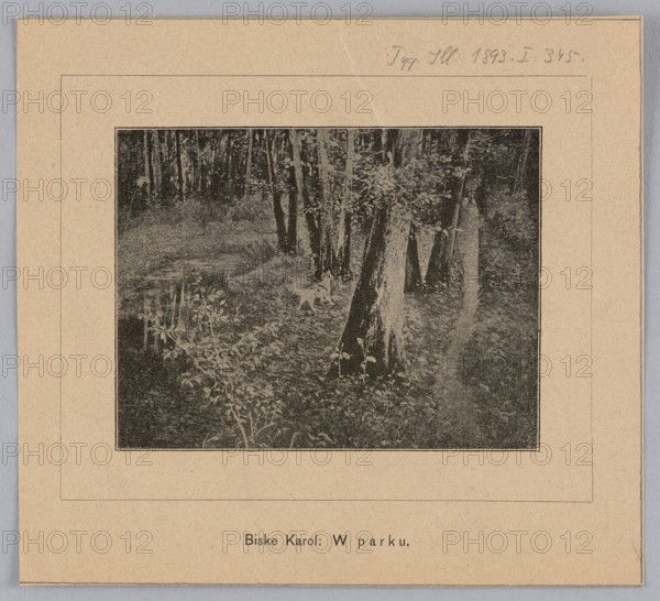Reproduction of a painting: Karol Biske 1863–1928, In the Park; painting; Polish painting; reproduction; dogs; parks gardens; landscapes; 1893; press illustration; reproduction of a work of art., A rectangular print mounted on a beige paper backing shows a forest scene with a group of tall, slender trees and leafy undergrowth beside a small body of water; the image area appears in muted black and gray tones, with visible textures of bark, foliage, and reflections, and the surrounding mounting is beige with a faint double rectangular border and a small area of handwriting at the top edge.