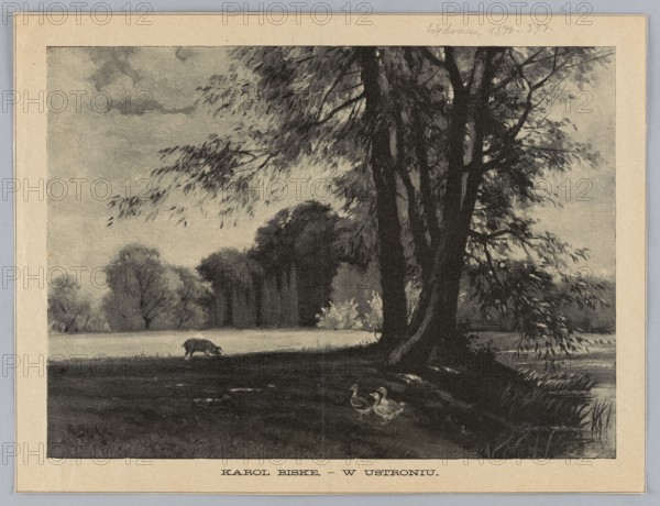 Reproduction of a painting: Karol Biske 1863–1928, In Ustroniu; painting, Polish painting, reproduction, landscapes, ducks, pigs, rural landscapes, 1899, press illustration, reproduction of a work of art, A grayscale landscape scene showing a large tree with a thick trunk and drooping branches near the right side, a group of trees in the middle distance across an open field, a few smaller trees or shrubs along the horizon, and a body of water at the lower right edge with reeds along its bank; in the foreground near the tree there is a group of waterfowl standing on the ground and a lone grazing animal farther back in the field; the sky is filled with cloudy textures and the overall tones are shades of black, gray, and off-white.