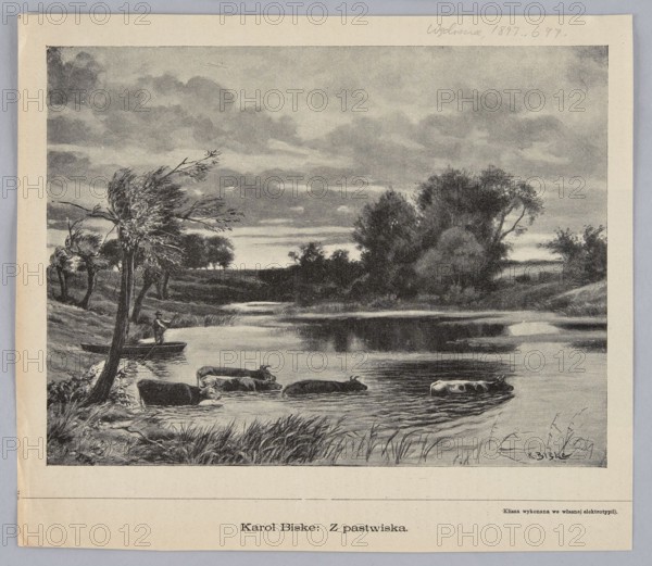 Reproduction of a painting: Karol Biske 1863–1928, From the Pasture; painting; Polish painting; reproduction; illustration; cattle, cows; rivers, riverside landscape; landscape; 1897; press illustration., A grayscale illustration showing a riverside scene with a cloudy sky, a group of trees on both banks, and a calm stretch of water reflecting the sky; in the foreground a leaning windswept tree and tall grasses line the bank, a person stands in a small rowboat near the shore, and a few cows are wading in the shallow water; tones seen include black, white, and various shades of gray.