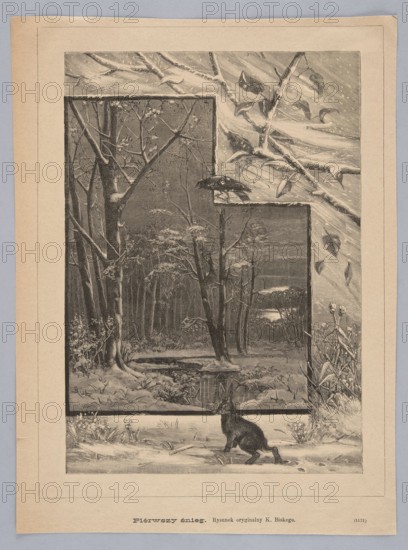 First Snow, Biske, Karol 1863–1928 author / illustrator, Krajewski, Jan fl. 1874–1887 woodcut artist, unknown publisher; subjects: animals, hares, winter landscapes, forests; media/format: painting reproduction, graphics, press illustration; style/genre: Polish drawings/Polish painting; date: 1880s; place: Poland., The image shows a grayscale illustration with a scene of a snowy woodland framed within a larger snowy border; a group of bare trees and branches fill the framed area with a small frozen or reflective stream or pond near the center, and snow covering the ground and tree trunks; in the foreground outside the framed scene a dark hare sits on snowy ground looking toward the framed woods, and a dark bird perches on the upper edge of the inner frame; surrounding the framed scene are large snow-covered branches and scattered leaves, with tufts of grass and plants poking through the snow; overall tones are shades of gray, black, and white.