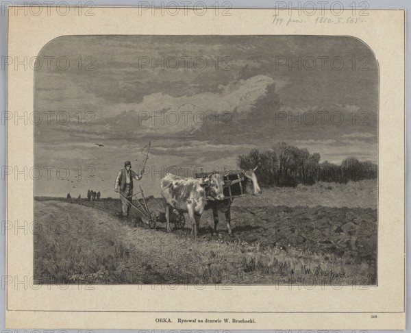Ploughing; painting/woodcut illustration depicting oxen ploughing a cultivated field with harrows in autumn; 1880; creators: Walery Brochocki 1847–1923 and Michal Kluczewski fl. 1869–1890; graphics/press illustration; Polish., A black and white engraved scene shows a rural field under a cloudy sky with layered clouds occupying much of the upper area; in the foreground a farmer walks behind a simple plow while holding a stick and a looped tool, a team of two oxen harnessed to the plow stands side by side with visible yoke and wooden harness elements, and a group of trees forms a dark line along the middle ground to the right; the field displays turned soil and patches of grass in front, a few birds fly in the sky, and a small group of distant figures or silhouettes appears on the horizon to the left. Colors visible include shades of black, white, and gray.