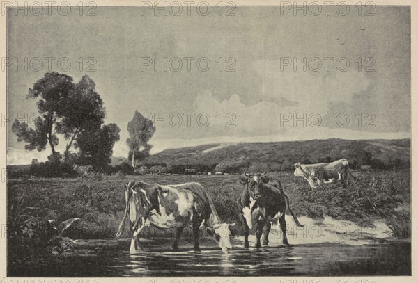 Reproduction of a painting: Karol Brodowski 1784–1832, From Our Meadows, 1900, painting; reproduction; Polish painting; illustration; press illustration; domestic cattle; cows; riverside landscapes; landscapes., A landscape scene shows a grassy field with a group of trees on the left and low hills in the background under a pale sky with a few clouds; in the foreground three cows stand at the edge of a reflective body of water while another cow grazes farther back in the grass; the cows display patches of light and dark tones, and the overall image contains shades of gray, black, and off-white with subtle variations creating texture in the trees, grass, water, and sky.