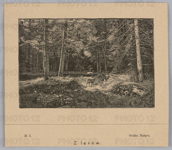 Reproduction of a drawing: Feliks Brzozowski 1836–1892, From the Forests, painting; reproduction; Polish painting; Feliks Brzozowski 1836–1892; roe deer; game animals; forest landscapes; late 19th century; Poland; press illustration; graphics., A sepia-toned printed scene shows a forest clearing with tall, slender trees featuring bare branches and textured bark, a few trees leaning slightly; the ground is uneven with grassy patches, mossy rocks, and areas of undergrowth; in the middle-ground a small deer-like animal stands on a lightened patch of ground; the treeline recedes into darker shadow creating depth, and the overall colors visible are beige, brown, black, and gray.