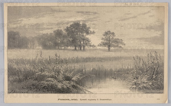 Summer Morning; 1883; drawing by Feliks Brzozowski 1836–1892, reproduction by C. Angerer & Göschl Vienna studio; press illustration; landscape — lowland meadows; painting reproduced as graphic/press illustration; Polish painting; Warsaw., A grayscale landscape showing a calm marsh or pond in the foreground with clusters of tall grasses and reeds at the water's edge, a reflective water surface, a broad expanse of grassy field behind it, a group of trees forming a dense canopy toward the center-left and a single tree to the right, distant low vegetation along the horizon, and a sky filled with layered clouds.