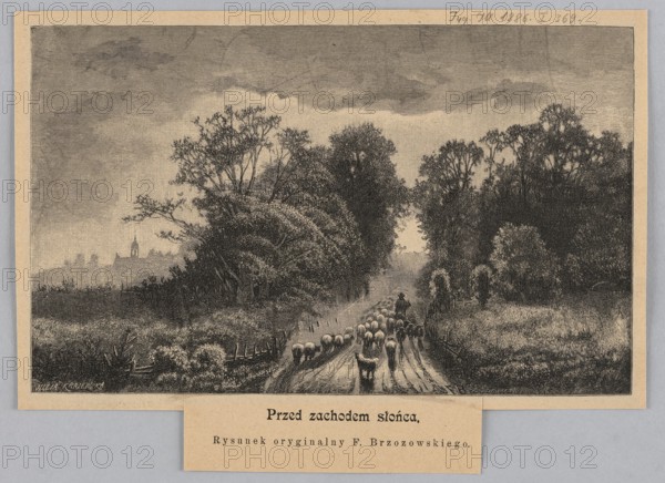 Before sunset; 1886. Illustration after Feliks Brzozowski 1836–1892 with woodcut by Julia Krajewska fl. 1884–1888. Depicts shepherds and cattle on a rural road in a Polish rural landscape; painting reproduced as a graphic press illustration., A monochrome engraving showing a rural dirt road flanked by dense trees and tall grasses, with a group of sheep being herded along the path by a lone figure on foot, a few wooden fences and hedgerows bordering the road, large leafy trees forming a canopy and thick undergrowth on both sides, distant low-lying structures barely visible on the horizon, an expansive textured sky with clouds above, and overall tones of black, gray, and beige.