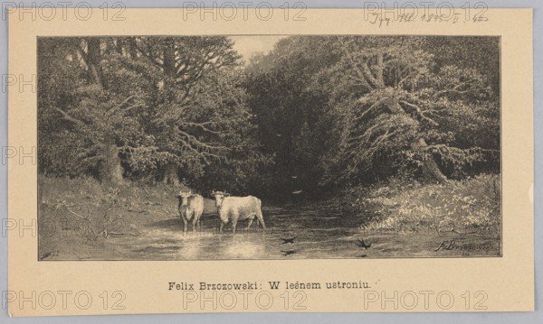 In a forest retreat; 1895; illustration after Feliks Brzozowski 1836–1892; reproduction by Angerer & Göschl Vienna studio; press illustration/graphic; subjects: Polish painting, domestic cattle, cows, riverside and forest landscapes; painting reproduced., A rectangular sepia-toned illustration showing a wooded scene with dense trees and foliage along both sides framing a darker central area, with a shallow body of water in the foreground reflecting the surroundings; two light-colored cows stand partially submerged near the water's edge, facing forward, and a few dark birds are on the water surface nearby; the trees display textured leaves and branches, with grasses and low plants at the banks, and the image is bordered by a pale beige margin.