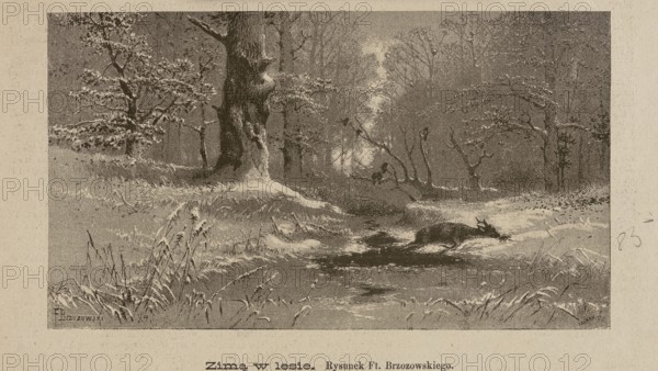 In Winter in the Forest, Feliks Brzozowski 1836–1892 illustrator/author, Lefman graphic artist, unknown publisher; subject: animals, snow, winter, forest interiors, winter landscapes; medium/technique: reproduction of a painting, graphics, press illustration; style/period: Polish painting, after 1884; place: Poland., A monochrome scene showing a snowy woodland with a few large trees and several smaller trees and bare branches; a winding dark stream or patch of water runs through the snowy ground toward the foreground; a dark animal is in or crossing the water; snow rests on tree branches, the ground, and clumps of grass; foreground tufts of grass and reeds poke up through the snow; the image tones are primarily beige and dark brown.