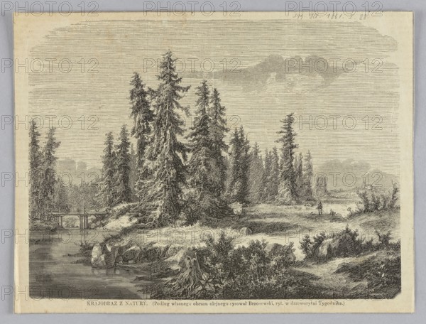 Landscape from nature; 1861; woodcut illustration after a painting by Feliks Brzozowski 1836–1892, woodcut artist G. Röber; subject: bridges, wooden bridges, river landscape; graphics, press illustration, reproduction of a work of art; Polish painting; painting reproduced., A monochrome landscape engraving showing a riverside scene with a group of tall evergreen trees clustered near the center and left, their dense foliage rendered with fine lines and shading; a few smaller trees and shrubs appear around them and along the riverbank. The river runs along the foreground with a rocky shoreline and scattered stones and low vegetation, and a simple wooden bridge spans the water toward the left where two small human figures stand. In the middle distance a solitary figure walks on a path near the water, and further back on the right a small building sits on the distant shore. The sky is filled with horizontal line shading suggesting clouds, and the overall palette is shades of black, gray, a...