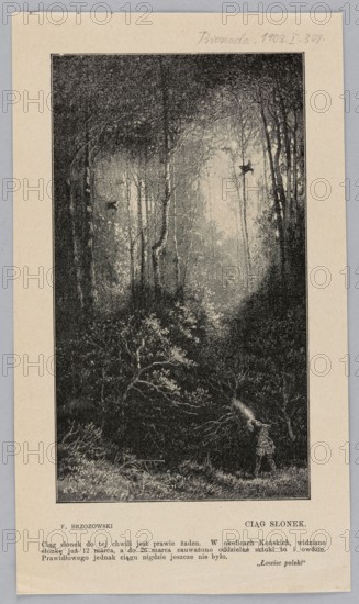 Reproduction of an engraving: Feliks Brzozowski 1836–1892, A String of Sunflowers; illustration, forest interiors, birds, forests, painting, Polish painting, press illustration, reproduction of a work of art, 1903., A vertical black-and-white illustration depicting a dense forest scene framed by a light beige border; the forest interior shows tall, slender tree trunks and a dimly lit clearing with textured foliage and undergrowth in dark and medium grayscale tones, with lighter gray areas suggesting filtered light deeper in; several tree branches and leafy clusters form a layered canopy, and a small human figure standing near the lower right edge of the illustration holds an object raised toward the trees, rendered in darker gray against the lighter background; the outer border and surrounding margin are beige, and there is a small area of handwritten pencil mark near the top edge of the margin in a soft gray.