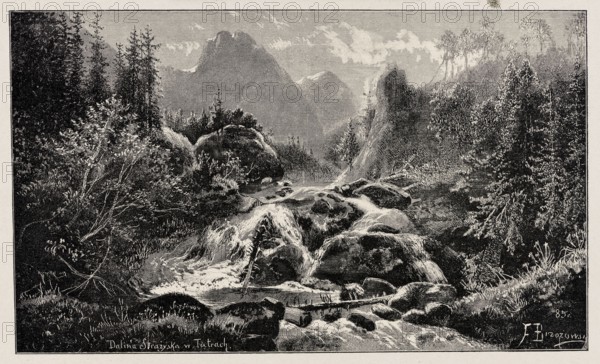 Reproduction of an engraving: Feliks Brzozowski 1836–1892, Strazyska Valley in the Tatra Mountains; mountain streams; mountains; Tatra Mountains; mountain landscape; Strazyska Valley Tatra Mountains; painting; Polish painting; after 1885; press illustration; reproduction of a work of art; creator: Feliks Brzozowski 1836–1892., A monochrome landscape engraving showing a forested valley with a flowing stream cascading over rocks toward the viewer, surrounded by dense trees and bushes on both sides, larger rounded boulders and fallen branches in the water, a rocky slope and distant mountain peaks under a sky with scattered clouds, rendered in shades of black, gray, and off-white.