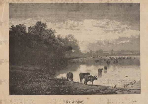 In spring; 1885, illustration by Feliks Brzozowski 1836–1892. Reproduction of a painting: graphic press illustration depicting cattle, waterside pastures and rural landscapes; Polish painting; graphics; press illustration., The image shows a landscape with a group of cows standing at the edge of a calm body of water, some partially reflected in the surface. A shoreline with grasses and a dirt path runs along the foreground, and a dense stand of trees rises on the left side, extending toward the center. In the midground there are more cattle scattered near and in the water, and low buildings or structures are faintly visible near the tree line. The sky above is cloudy with layered cloud formations. Visible colors include shades of black, gray, white, brown, and muted beige.