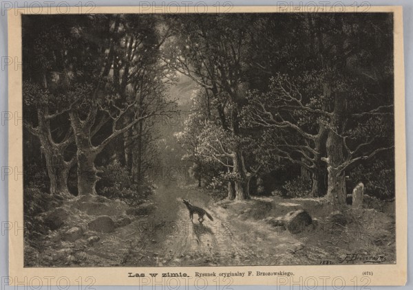 Forest in winter; 1887; illustration by Feliks Brzozowski 1836–1892; reproduction of a painting; media: graphics/press illustration; subject: wolves, snow, forest interior and forest roads; style: Polish painting; function: press illustration; materials: painting reproduced as graphic., A grayscale scene of a wooded path flanked by tall trees with bare and sparsely leafed branches forming a canopy, darker dense foliage filling the upper edges, a narrow clearing in the center showing lighter tones leading into the distance, a lone small animal standing on the path with its head raised and a shadow beneath it, rough ground with scattered rocks and low undergrowth on either side of the trail, textured tree trunks visible in the foreground, and a lighter patch of sky or mist visible through the trees.