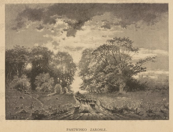 Overgrown pasture; illustration by Feliks Brzozowski 1836–1892, 1892. Pastoral landscape depicting country roads; painting/graphic press illustration in Polish painting., A monochrome landscape showing a dirt path leading into a field bordered by a group of trees on each side, with taller trees on the right and a denser stand on the left; a group of sheep stand along the path near the foreground. The sky above is filled with textured clouds, with darker cloud tones at the top and lighter areas toward the center. The ground and vegetation are rendered with varied tones and fine detail, showing grassy areas, low plants, and rough furrows along the path. Colors visible are shades of beige, brown, and gray.