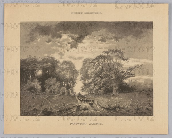 Overgrown pasture; illustration by Feliks Brzozowski 1836–1892, 1892; landscape—pastoral country road; painting/graphic; press illustration; Polish., A monochrome landscape print showing a grassy field with a dirt track or rutted path leading into a group of trees, a few shrubs and low plants scattered in the foreground, and a dense stand of tall trees and bushes forming a treeline across the midground; the sky above has a band of dramatic clouds with lighter and darker areas, and the overall image is bordered by a plain light-colored mount. The visible colors are shades of beige, tan, brown, and gray.