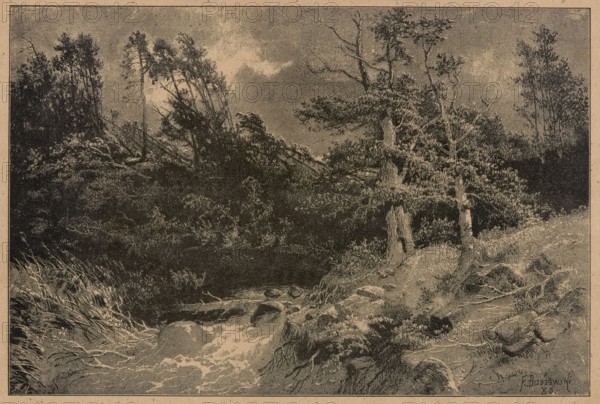 After the storm; 1886; illustration for Klosy; forest landscape showing landscapes during a storm; painting reproduced as a woodcut; graphic art; press illustration; Polish painting; artist: Feliks Brzozowski 1836–1892; reproduction by Angerer & Göschl Vienna; graphic and photographic studio., The image shows a landscape scene rendered in sepia tones with a textured, stippled appearance. A group of trees with dark trunks and foliage occupies the middle and background, some leaning and some upright, with lighter highlights on branches and leaves. In the foreground there is a flowing stream with lighter, foamy water moving over rocks and surrounded by grassy banks and exposed roots. Several rocks and patches of brush dot the streamside, and a few taller grasses frame the lower left. The sky above is mottled with lighter and darker sepia areas suggesting cloud shapes.