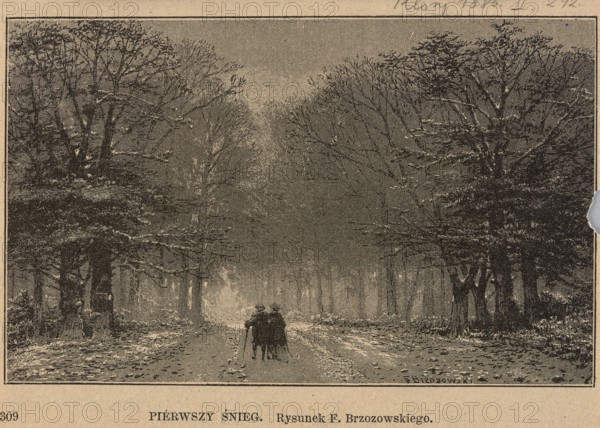 First snow; illustration for Klosy 1886, no. 1114 / November 4, p. 292. Artwork by Feliks Brzozowski 1836–1892; reproduction by C. Angerer & Göschl Vienna; graphic and photographic workshop, est. 1873. Subject: walks, forests, winter, forest roads. Medium/genre: painting reproduced as graphic press illustration; Polish painting, 1886., A sepia-toned scene of a tree-lined path stretching into the distance with bare-branched trees on both sides, a group of a few people huddled together near the center of the path, the ground covered with a light dusting suggesting a textured surface, dense layers of branches creating a canopy effect above, darker shaded areas under the trees contrasting with lighter tones toward the middle background, and overall colors of brown, tan, black, and beige.