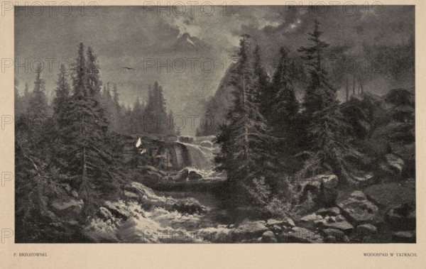 Reproduction of a painting: Feliks Brzozowski 1836–1892, Waterfall in the Tatra Mountains; painting; Polish painting; reproduction; mountain landscapes; landscapes with a waterfall; waterfalls; Tatra Mountains; 1905; press illustration; reproduction of a work of art., A grayscale landscape showing a forested scene with a river and waterfall flowing through rocky terrain, surrounded by tall evergreen trees and dense foliage. The sky appears cloudy with textured clouds, and a single bird is visible in the sky. The water cascades over rocks creating white foamy areas contrasted against darker pools, and there are several large boulders and rock formations along the riverbanks. The image has an overall tonal range of black, white, and various shades of gray, with darker trees and rocks set against lighter areas of water and sky.