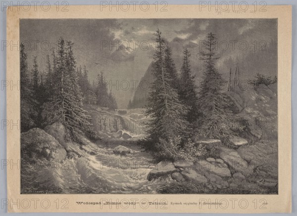Cold Waters waterfall in the Tatra Mountains; illustration by Feliks Brzozowski 1836–1892, reproduced by Angerer & Göschl Vienna photographic studio; wood engraving/print; 1883; depicts mountain landscape, mountain stream, and waterfall; published as an illustration in a magazine press illustration., A grayscale engraving depicting a wooded mountain scene with a cascading river in the foreground, a rocky riverbank with layered stones at the near edge, and several tall evergreen trees clustered along both sides of the water; the water shows turbulent rapids and a small waterfall further back, with sloping hills and a triangular mountain rising in the background beneath a cloudy sky; the image is framed by a lighter border with aged paper tones.