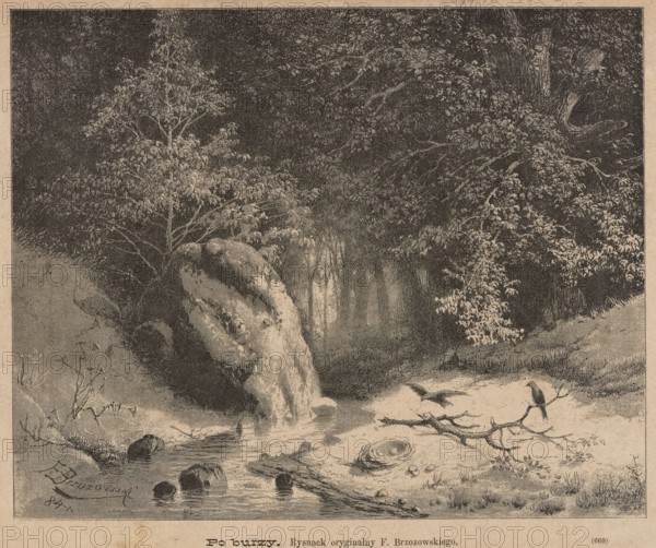 After the storm; 1885; illustration by Feliks Brzozowski 1836–1892, reproduced by Angerer & Göschl Vienna; printed in Tygodnik Ilustrowany; subjects: birds, bird nests, forest streams, forest landscapes; medium: graphic art/press illustration; style: Polish painting., A sepia-toned illustration of a forested riverside scene showing a cluster of dense trees and leafy branches overhead, a large rounded rock or cliff face near the water’s edge, a flowing stream with several visible stones and ripples, a sandy or pale bank with a fallen branch lying across it, a bird perched on the branch and another bird in flight nearby, scattered grasses and low vegetation along the shore, and darker wooded areas receding into the background; the visible colors are shades of brown, beige, cream, and black.