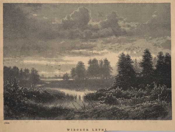 Summer Evening; Brzozowski, Feliks 1836–1892; 1885; illustration/graphic depicting birds and a summer water landscape at sunset; Polish painting/graphic; painting reproduction; includes landscape and avian subjects., A landscape scene showing a marshy waterway bordered by tall grasses and reeds in the foreground, with a group of trees and clusters of taller evergreens along the middle ground and distant shoreline; the sky above is filled with layered clouds and lighter patches, and a few birds are visible in flight over the water; the image tones are mainly muted sepia, beige, gray, and dark brown.