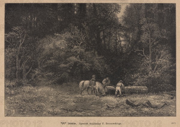 In the forest; 1885. Drawing by Feliks Brzozowski 1836–1892; reproduced by Angerer & Göschl. Press illustration graphic art for Tygodnik Ilustrowany. Subject: horses in a forest interior; Polish painting/graphic art., A sepia-toned scene shows a dense forest clearing with a group of three people and a few horses near a large fallen log; the foreground has tangled grasses and low vegetation in shades of brown and beige, while the middle and background feature thick, dark trees and leafy canopies creating deep shadowed areas in darker brown and black tones; the figures appear near the center-right, with one person seated on a horse and two others standing close to the log, and the horses are light-colored against the darker woods.