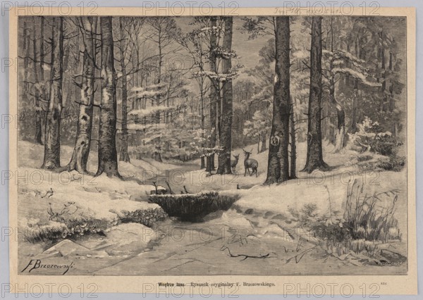 Inside the forest; 1881. Woodcut/graphic illustration by Józefa Kleczenska after Feliks Brzozowski 1836–1892. Depicts a winter forest scene with deer and snow; Polish painting/graphics; press illustration., A monochrome scene rendered in shades of black, gray, and off-white shows a snow-covered forest with tall bare trees rising from the ground, their trunks textured with bark patterns and some with knots and scars. In the middle distance a small group of deer stand among the trees, facing toward the viewer. Snow rests on low branches and blankets the uneven ground, which slopes down to a dark stream partially filled by a rounded snow-covered bank. Grasses and reeds poke through the snow along the stream edge, and a dense stand of trees fills the background, creating layered vertical lines and a sense of depth. The overall image is contained within a light border.
