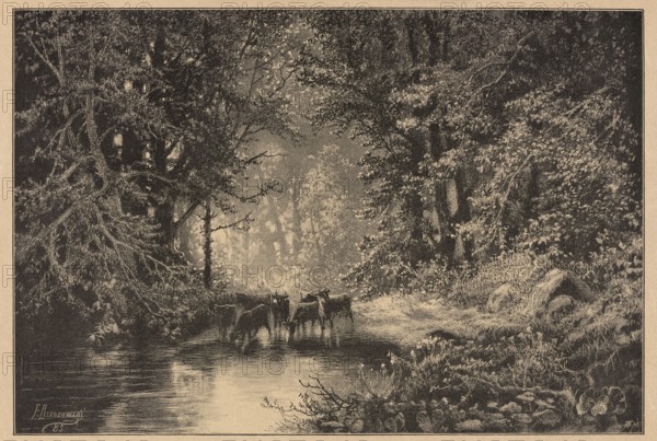 Forest spring; Brzozowski, Feliks 1836–1892 draughtsman/author; Angerer & Göschl Vienna; graphic and photographic workshop; 1873–? reproduction workshop/co-author; woodcut illustration for Klosy magazine; reproduction by Feliks Brzozowski; subject: cattle, forest interior, landscape; painting/graphic; Polish; 1887; press illustration., A wooded scene with a shaded stream running through the center, flanked by dense trees and undergrowth; a group of animals stands in the shallow water near the middle, their dark silhouettes reflected on the stream’s surface; the left side shows thick, tangled branches and leafy foliage, while the right side features a sunlit clearing with grassy banks and a few large rounded stones; the background reveals a lighter, misty opening among tall trees; overall tones in the image are shades of brown, beige, and dark sepia.