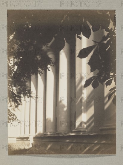 The cathedral from the castle garden; photograph, Bulhak, Jan 1876–1950, Vilnius, cathedral Vilnius, 1912; photographic print: height 14.4 cm, width 10.8 cm; album page: height 31.0 cm, width 23.5 cm, A photographic scene showing a row of tall columns casting long vertical shadows, framed at the top and sides by leafy branches and foliage. The image is in monochrome tones of sepia, brown, beige, cream, and dark gray, with strong contrasts between light and shadow on the columns and ground. The leaves appear darker against the lighter background, and the base of the columns and nearby grassy area are visible in softer, lighter shades.