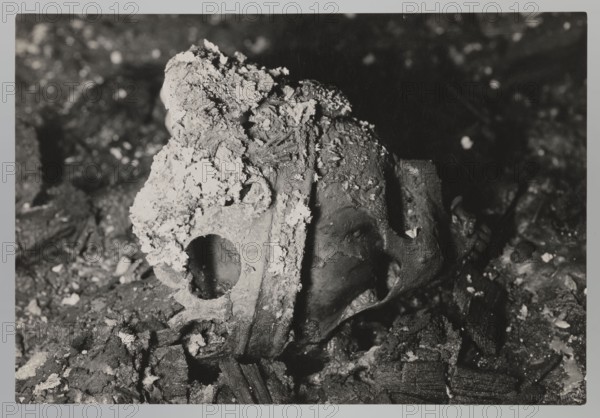 Vilnius — Cathedral: interior of the royal crypt. Photograph by Jan Bulhak 1876–1950, 1931. Archaeological excavations; royal crypt of Alexander I Jagiellon King of Poland, 1461–1506. Photograph from nature; scene after the 1931 flood in Vilnius. Photograph, 11.5 × 16.5 cm., A close-up black-and-white photograph shows a partially buried human skull lying among debris and fragments, with a rough, textured substance coating parts of the top and sides. The skull appears broken in places and is surrounded by irregular pieces of charred or dark material and small light-colored flakes. The scene includes a dark background with scattered lighter specks and varying shades of gray, black, and white throughout the image.