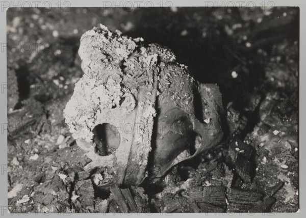 Vilnius — Cathedral: interior of the royal crypt. Photograph from nature by Jan Bulhak 1876–1950, 1931. Shows the archcathedral basilica of St. Stanislaus and St. Ladislaus Vilnius crypts and archaeological excavations related to Alexander Jagiellon King of Poland, 1461–1506. Flood in Vilnius in 1931. Photograph; 11.8 × 16.5 cm., A close-up grayscale photograph shows a partially buried object resembling a broken helmet or rounded container lying on a rough, debris-covered surface; the object is encrusted with a flaky, chalky substance and has several rough, textured areas and openings, with fragments and small chunks scattered around it. The scene contains shades of black, white, and various grays.